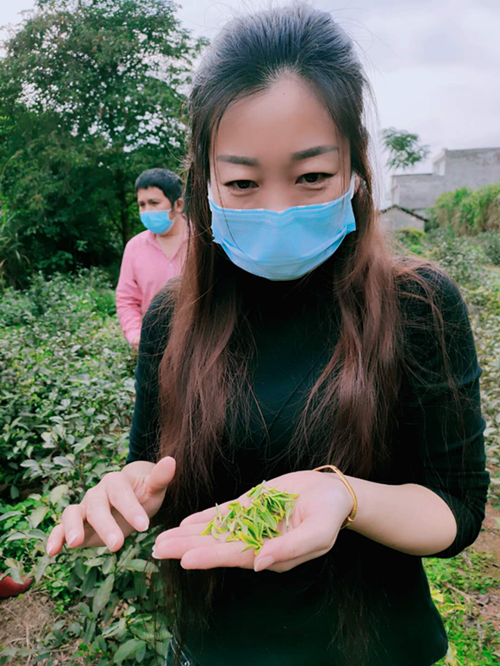 图片15.png
