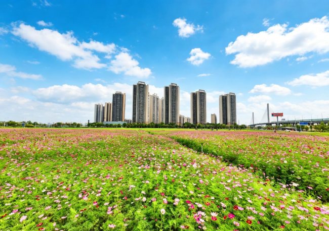 把诗意种进社区！在这里有着“公园+”的理想生活