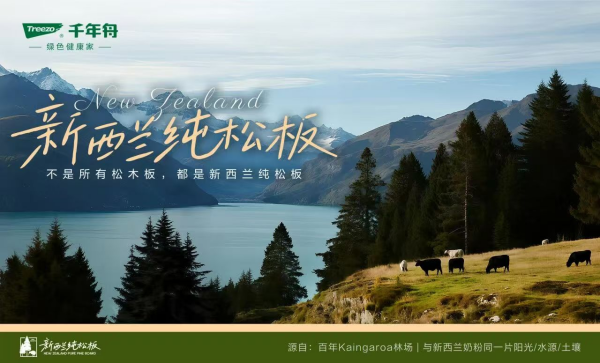 2026新西兰纯松板.png